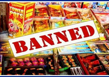 Delhi bans firecrackers