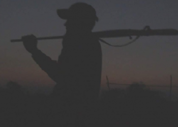 forester death kaziranga
