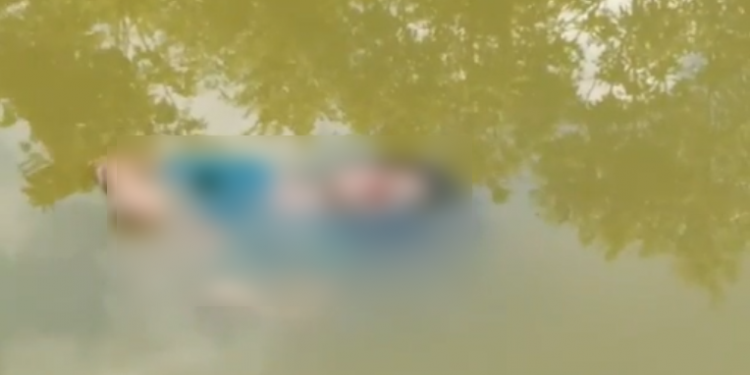 woman suicide by jump into pond