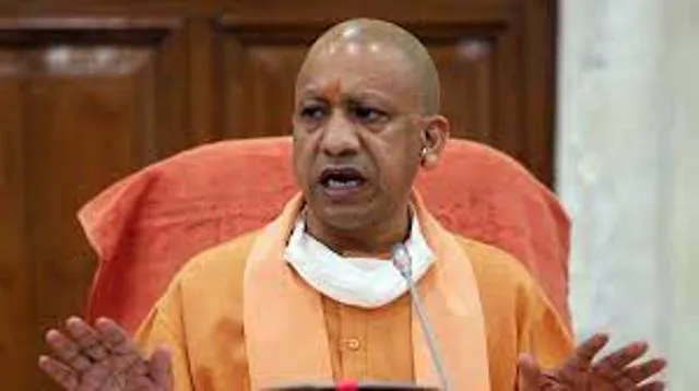 yogi