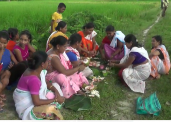 পুৰণিগুদামৰ হাতীগাঁৱত ধাননি পথাৰত মহিলাই চটিয়ালে ৰবাব টেঙাৰ বাকলি, কিয়?