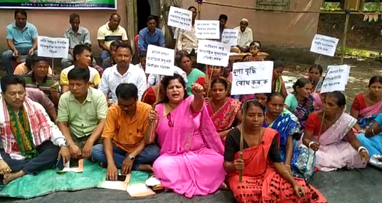 Congress protest against price rise
