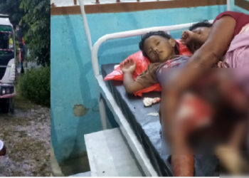 Dumper hit family seriously injured