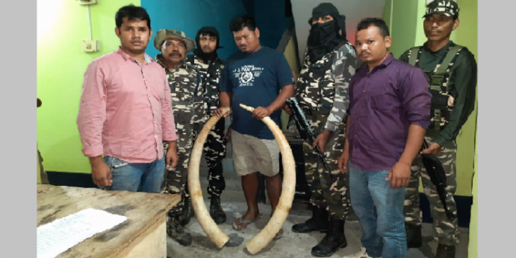 Forest official & SSB team arrest