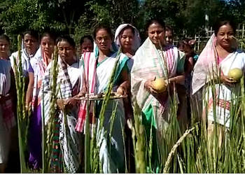 Kati Bihu Sibsagar.png1
