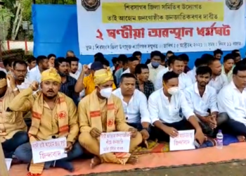 Tai Ahom demonstration