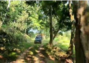 পৰ্যটকৰ বাবে কাজিৰঙা ৰাষ্ট্ৰীয় উদ্যানৰ বুঢ়াপাহাৰ বনাঞ্চলৰ দ্বাৰ পুনৰ মুকলি