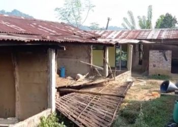 কলিয়াবৰত অব্যাহত আছে বন্যহস্তীৰ সন্ত্ৰাস, কৃষি পামৰ বিস্তৰ ক্ষতি
