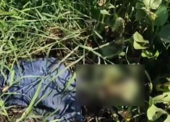 টীয়কৰ কাৱৈমাৰীৰ বিলত উৱলি যোৱা অচিনাক্ত মৃতদেহ উদ্ধাৰ