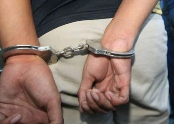 NSCN-IM militant held with arms in Tinsukia