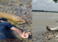 সৰুপেটাত শোকাৱহ ঘটনা,পুখুৰীত গা ধুবলৈ গৈ দুই ভাতৃৰ সলিল সমাধি