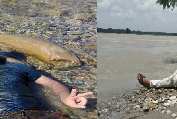 সৰুপেটাত শোকাৱহ ঘটনা,পুখুৰীত গা ধুবলৈ গৈ দুই ভাতৃৰ সলিল সমাধি