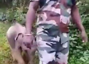 "Saving Nature and Humanity" a video viral on social media