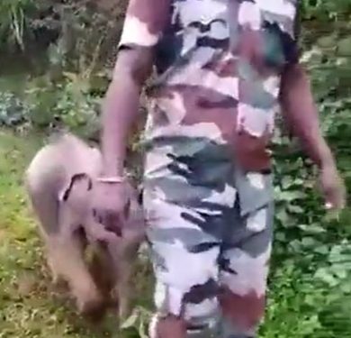 "Saving Nature and Humanity" a video viral on social media