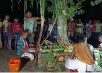 ৰজাদিনীয়া পৰম্পৰাৰে গোৱালপাৰাৰ ঐতিহাসিক টুক্ৰেশ্বৰী দেৱালয়ত শাৰদীয় দূৰ্গা পূজা