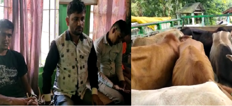 Cattle Smuggler.png Bagori