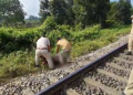Dead body recovered