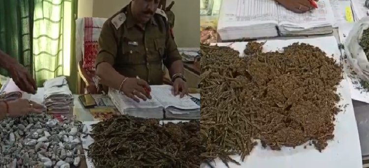 Sibsagar ganja seized