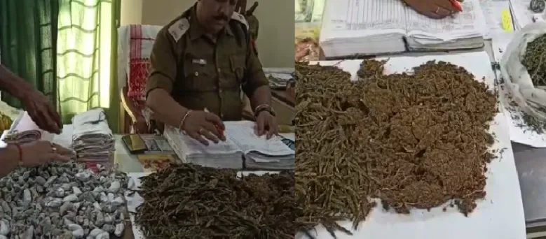 Sibsagar ganja seized