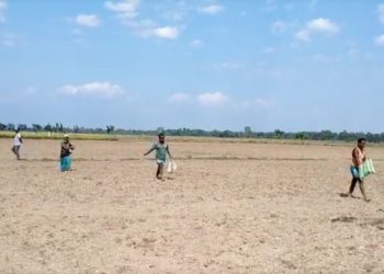 Bishwanath