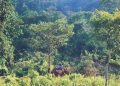 Assam forest official faces firing on Arunachal border