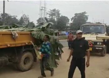 ভাল খবৰ: টীয়কৰ উদ্যোগী যুৱকে দীপাৱলীত ব্যৱহৃত কলপুলি সংগ্ৰহ কৰি যোগান ধৰিলে বন্যহস্তীক