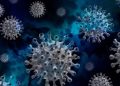 coronavirus71-1622016981