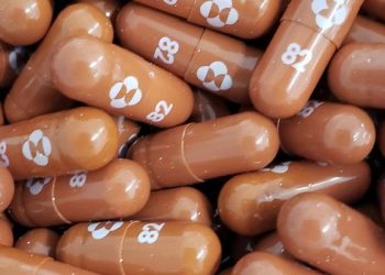 Made-In-India Anti-Covid Pills Could Be Cleared For Use In Days