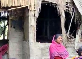 তামুলপুৰৰ হাঁহকাটা বালাবাৰী গাঁওত বন্যহস্তীৰ তাণ্ডৱ অব্যাহত