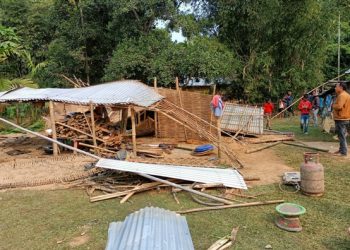 কৃষ্ণাইত বন্যহস্তীৰ তাণ্ডৱলীলাঃ ধাইগাওঁ টিলাপাৰা গাঁৱত ব্যাপক ধ্বংসলীলা