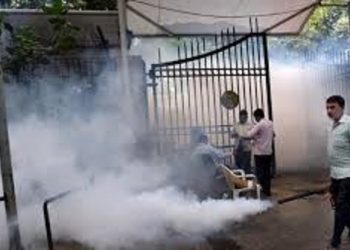 Dengue outbreak in India
