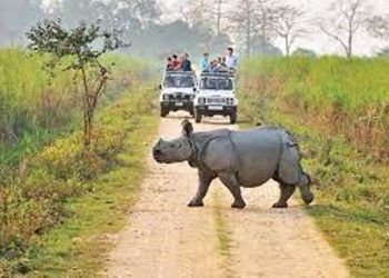 মোনাবাৰী বনাঞ্চলক কাজিৰঙাত অন্তৰ্ভূক্ত, কাজিৰঙাৰ কোনটো সংযোজনত আছে কিমান বনাঞ্চল?