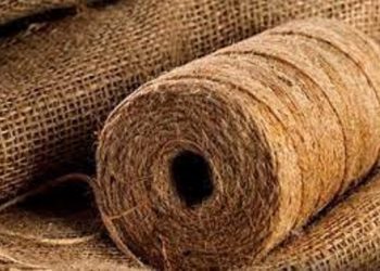 Cabinet approves reservation norms for mandatory use of jute in packaging