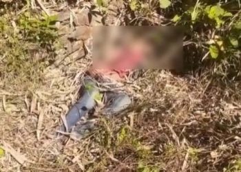নৃশংস: লিডুৰ কলপৰা গাঁৱত মহায়েকে হত্যা কৰিলে নিজৰ ১০ বছৰীয়া ভাগিনীয়েকক