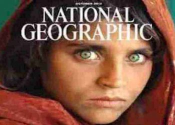 sharbat-Gula