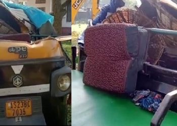 Accident Lekhapani