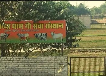 Ayodhya land deal