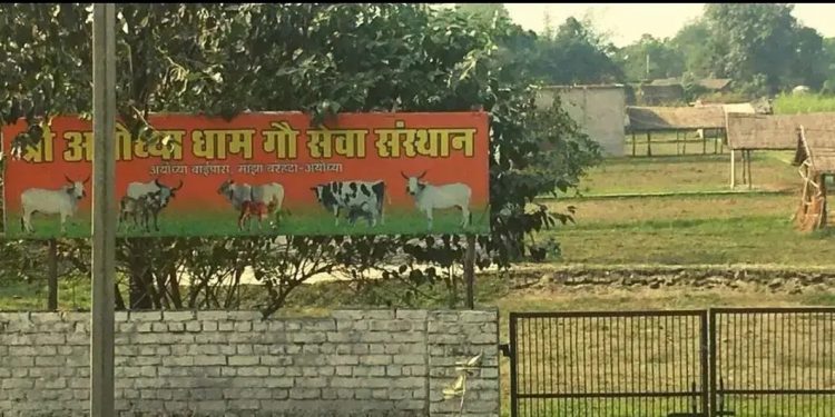 Ayodhya land deal