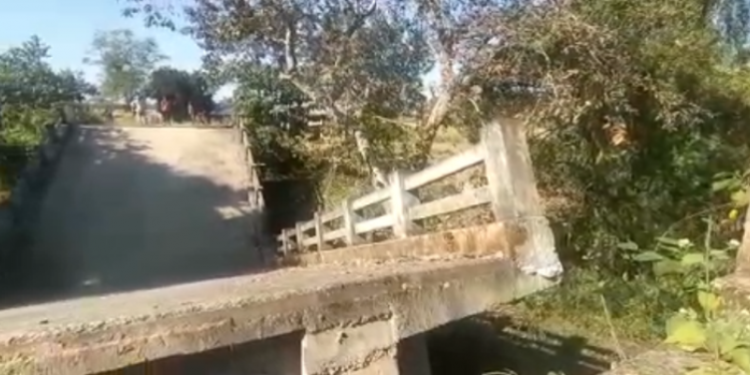 Bridge collapsed