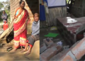 Dudhnoi wild elephant rampage