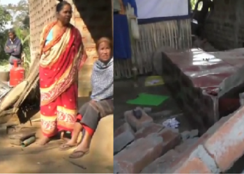 Dudhnoi wild elephant rampage