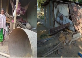 Nagrijuli elephant rampage large