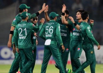 Highest win in T-20 in a calendar year
