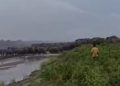 বাক্সাৰ ভাৰত-ভূটান সীমান্তত বনৰীয়া হাতীৰ সন্ত্ৰাস, হাতীৰ আক্ৰমণত এজন আহত
