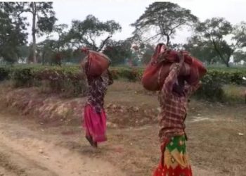 থলুৱা প্ৰতিষ্ঠানক বঞ্চিত কৰি কলিয়াবৰৰ চিকনি চাহ বাগিচা অবৈধ ভাবে নিলামৰ অভিযোগ