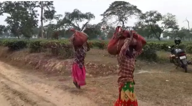 থলুৱা প্ৰতিষ্ঠানক বঞ্চিত কৰি কলিয়াবৰৰ চিকনি চাহ বাগিচা অবৈধ ভাবে নিলামৰ অভিযোগ