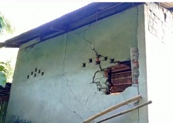 কলিয়াবৰৰ বৰুৱাচুকত বনৰীয়া হাতীৰ তাণ্ডৱ
