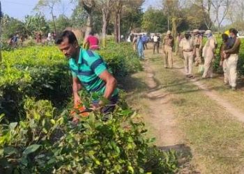চাপৰ চাহ বাগিচাত বন বিভাগ আৰু প্ৰশাসনে চলালে উচ্ছেদ অভিযান
