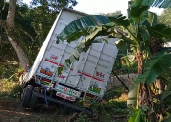 এইবাৰ চোৰাং গৰু সৰবৰাহত ব্যৱহাৰ ডাক কঢ়িয়াই নিয়া বাহন