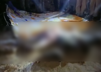 Elephant killed man